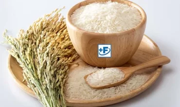 Fortified Rice Kernels Manufacturers in India | Hexagon Nutrition
