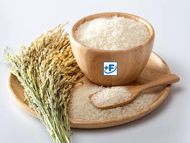 Fortified Rice Kernels Manufacturers in India | Hexagon Nutrition