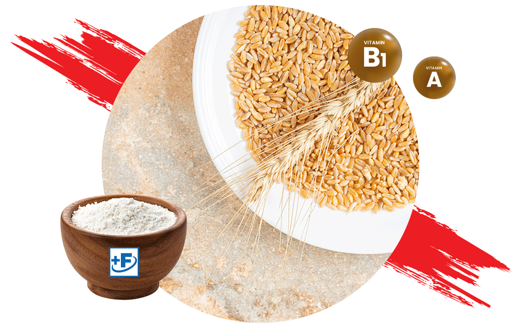 Wheat Flour Fortification | Premix for Fortified Flour | Hexagon Nutrition