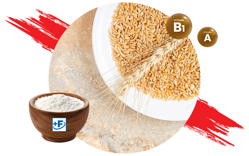 Is Fortified Wheat Flour Healthy