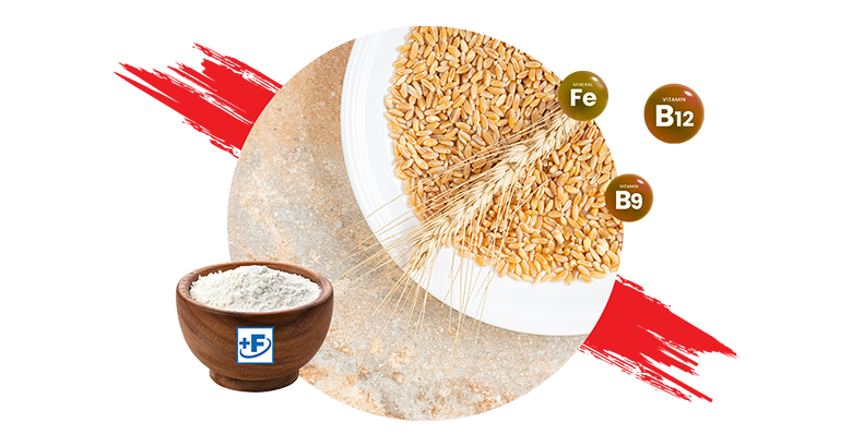 Wheat Flour Premix : Bangladesh