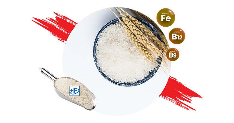 Fortified Rice Kernels : Bangladesh