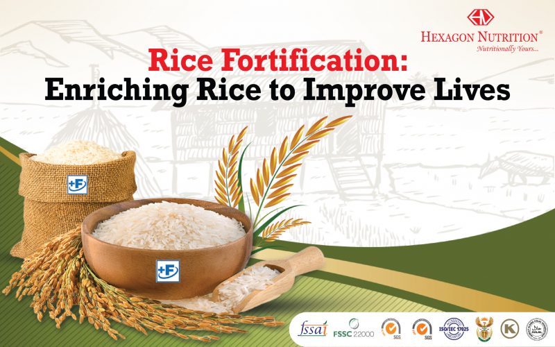 fortified rice essay in hindi